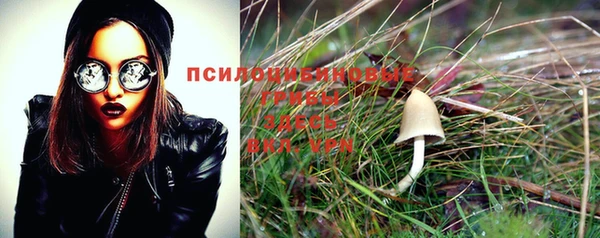 стафф Новодвинск