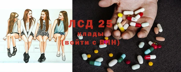 стафф Новодвинск
