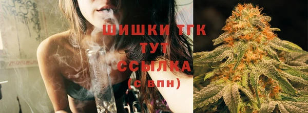 стафф Новодвинск