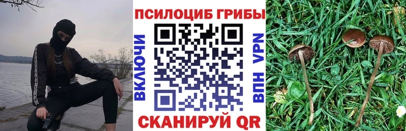 Псилоцибиновые грибы MAGIC MUSHROOMS  где продают наркотики  Рудня 